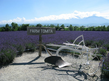 farm_tomita02.jpg